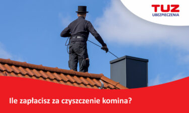 Czysty komin, bezpieczny dom: ile zapłacisz za czyszczenie komina?