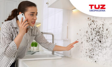 Odszkodowanie za grzyb w mieszkaniu – poradnik