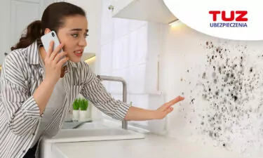 Odszkodowanie za grzyb w mieszkaniu – poradnik